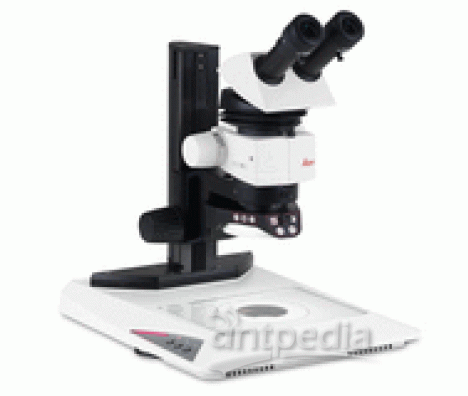 德国徕卡 体视显微镜 M80
