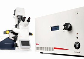 德国徕卡 共聚焦显微镜 TCS SP8 X 全光谱特征图像，配白激光