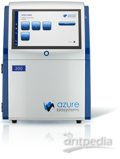 Azure Biosystems多功能分子成像系统-多功能分子成像系统检测wb