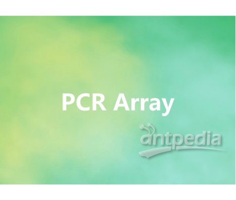 PCR Array