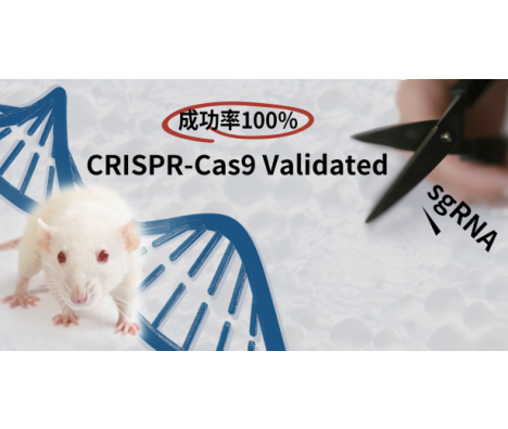 CRISPR-Cas9 Validated sgRNA服务