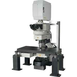 尼康 A1mp+/A1rmp+ 高清多光子共焦显微镜