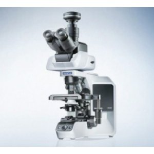 BX43 手动系统显微镜