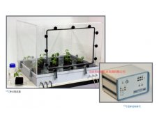 13CO2气体标记植物培养系统