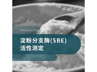 淀粉分支酶(SBE)活性测定