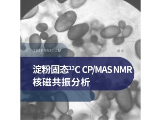 淀粉固态13C CP/MAS NMR 核磁共振分析