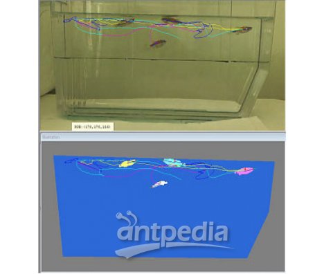 AquaScan斑马鱼行为分析系统
