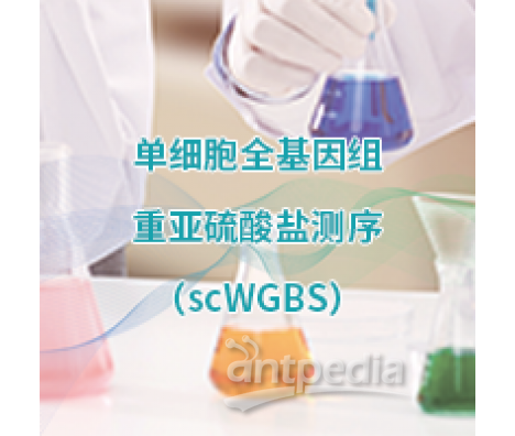 单微量细胞全基因组甲基化测序 (scWGBS）-易基因