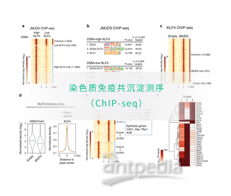 染色质免疫共沉淀测序技术（ChIP-seq）-易基因