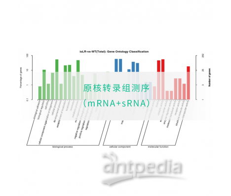 原核转录组测序（mRNA+sRNA）