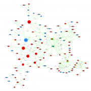 Global Signal Transduction Network-global signal transduction network