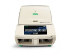 伯乐CFX96 Touch 实时定量 PCR 仪