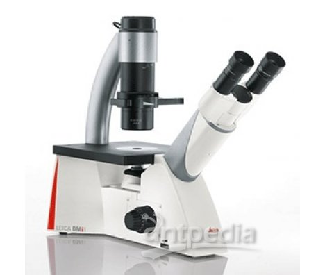 细胞观察显微镜