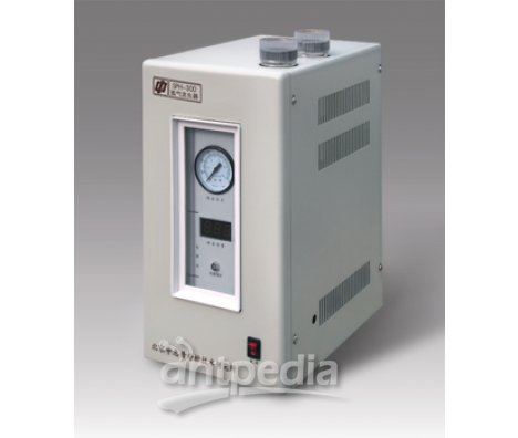 碱液型氢气发生器SPH-300/SPH-500