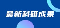 我国学者与海外合作者实现多尺度<em>光学</em><em>超</em><em>材料</em>规模打印创制