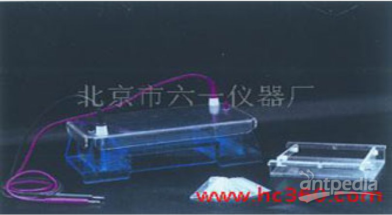 DYCP-32A 琼脂糖水平电泳仪（槽）