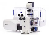 蔡司激光共聚焦显微镜LSM800