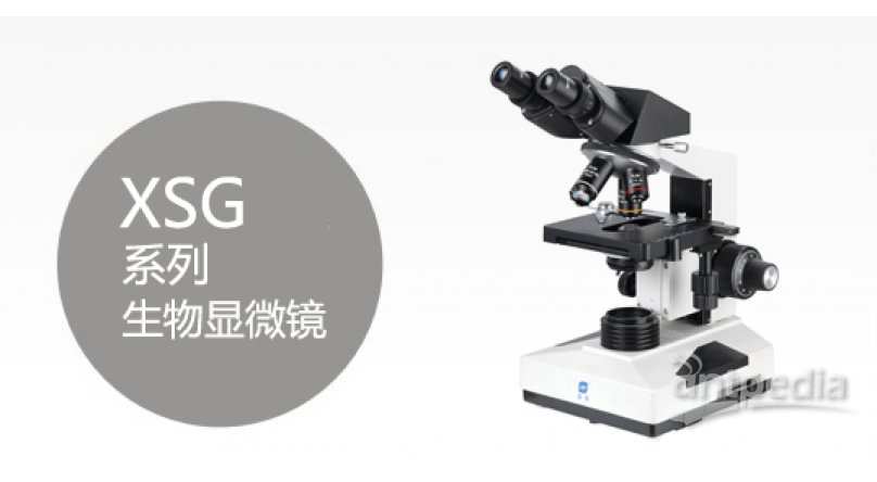 XSG双目/三目生物显微镜