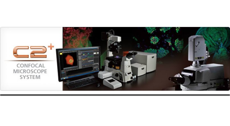 NIKON尼康C2+激光共聚焦显微镜