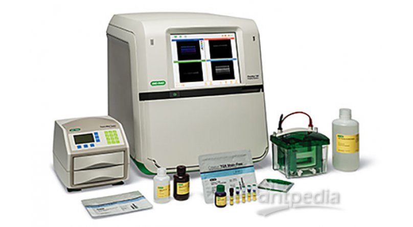 ChemiDoc MP全能型凝胶成像分析系统