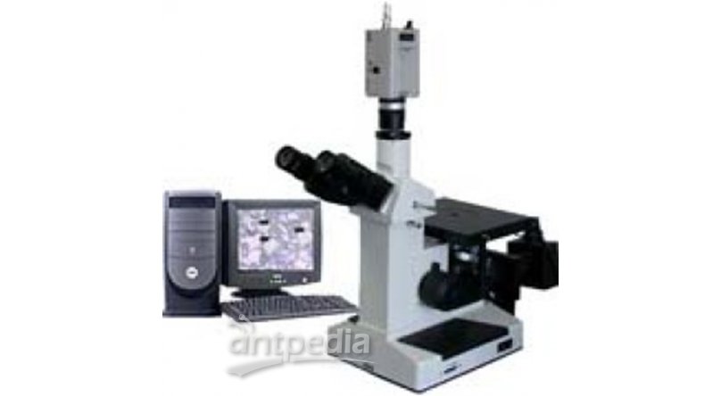 金相显微镜DMM-400C