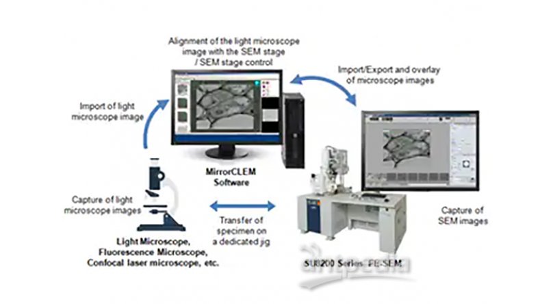 MirrorCLEM光-电联用显微镜法（CLEM）系统 