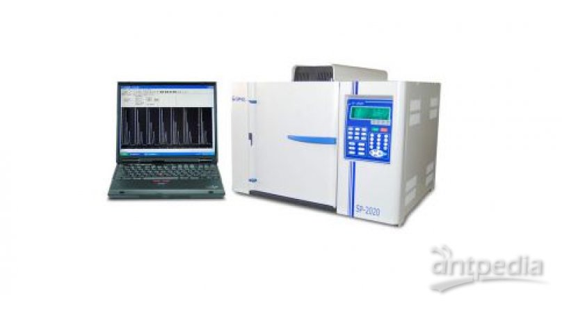 SP-2020型气相色谱仪实验室在线型