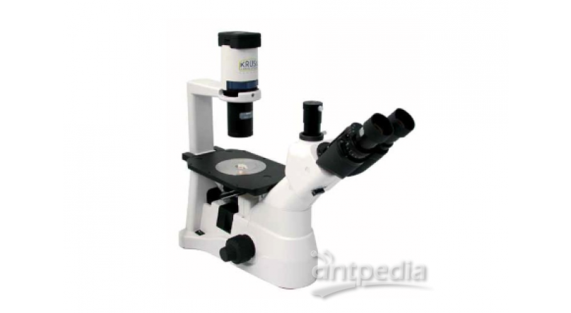 MBL3200 专业型双目镜显微镜