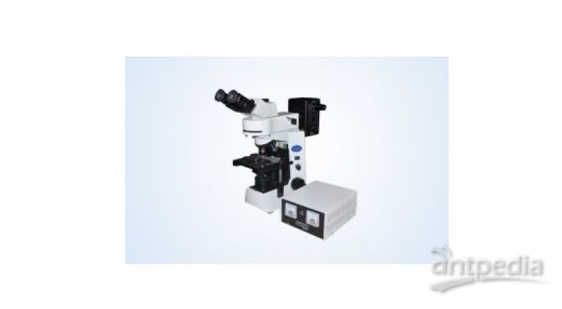 荧光显微镜 MF41
