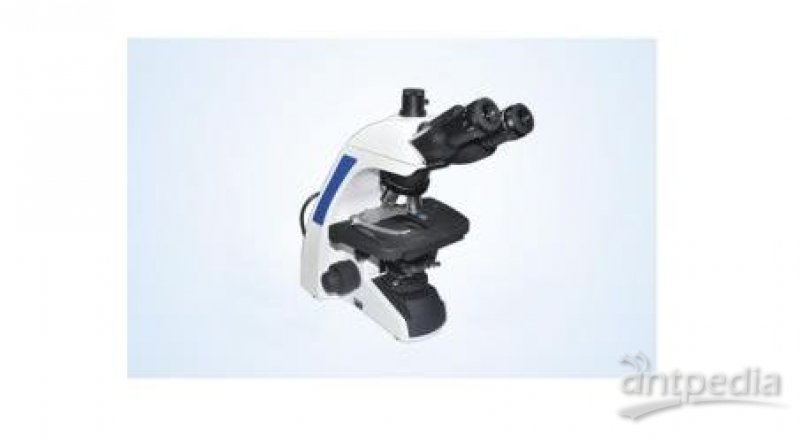 生物显微镜 ML31