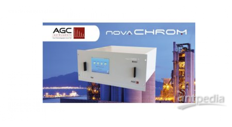 AGC100HFADD 高纯氩专用气相色谱仪
