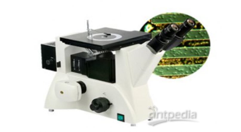  金相分析显微镜