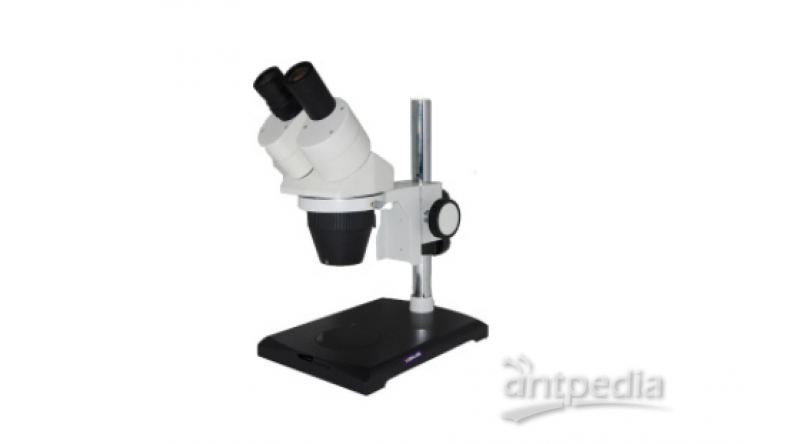 KEWLAB SM-B 体视显微镜