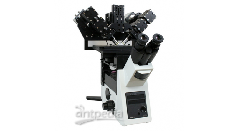ASI光片荧光显微镜diSPIM