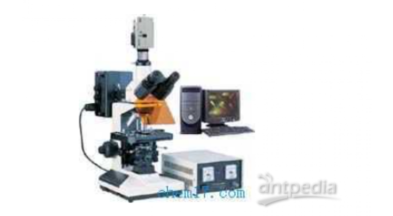 DFM-50C荧光显微镜