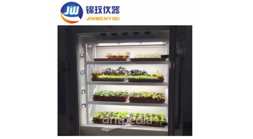 锦玟JMRC-150B-LED冷光源人工气候箱 植物生长箱 