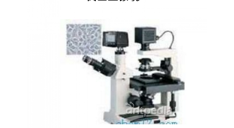 XSP-16C倒置显微镜