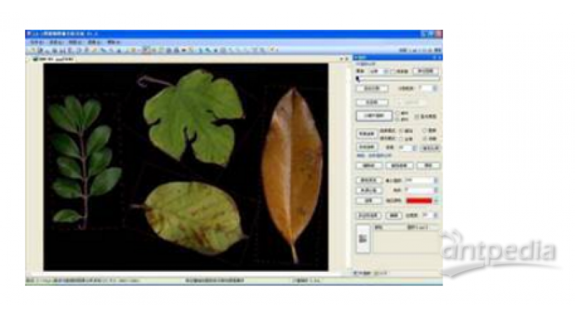 LA-S1多功能植物图像分析系统