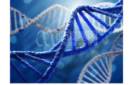 DNA甲基化检测