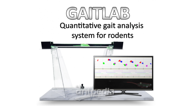 Gaitlab自动化啮齿动物步态分析系统 
