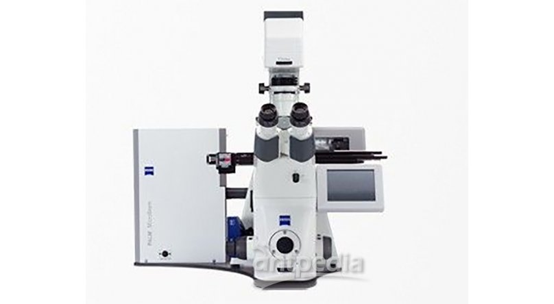 PALM MicroBeam 用于分离高纯度组织的激光显微切割系统