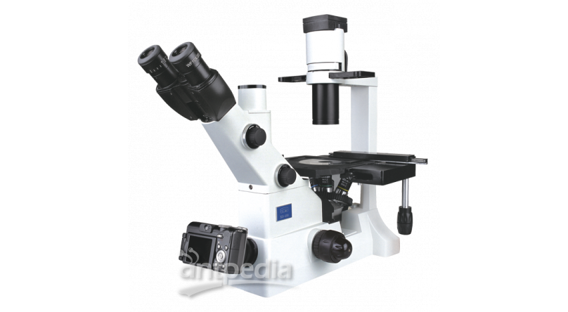 XD-202 倒置生物显微镜