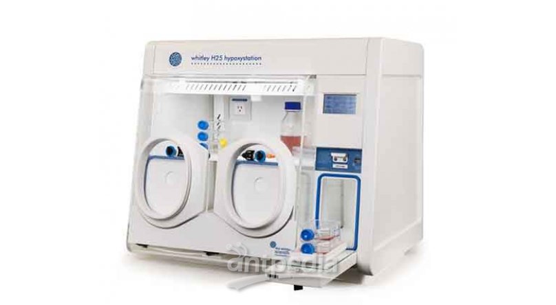 H25低氧工作站/微好氧培养箱（紧凑型）