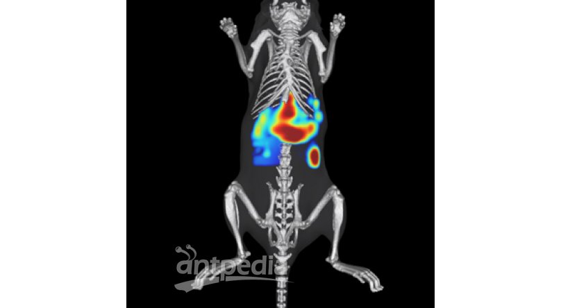 IVIS Spectrum CT小动物活体三维多模式成像系统