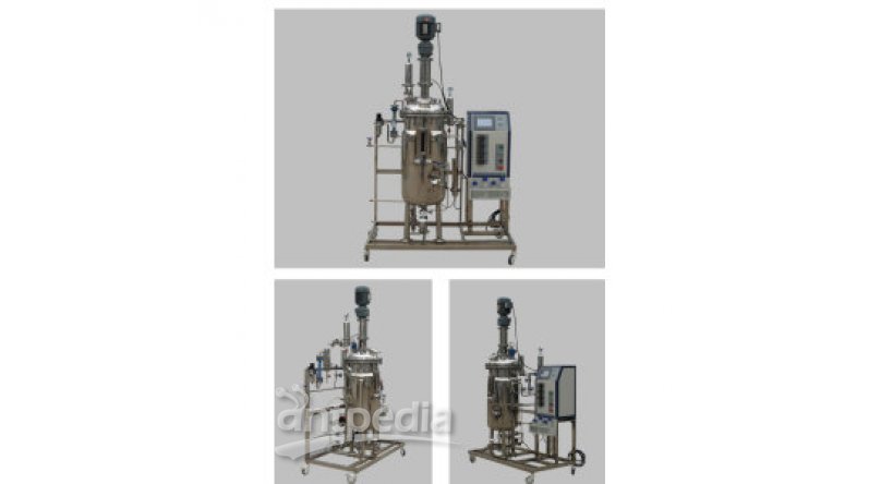  FC-ZN-100L智能型液体发酵罐