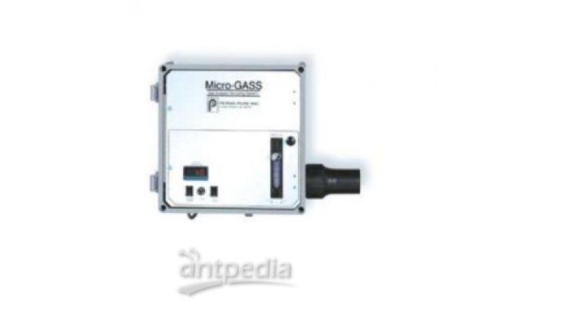 其它相关仪表GASS™ Series Micro-Gass™
