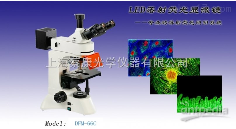 XTL-6600C蔡康平行光体视显微镜