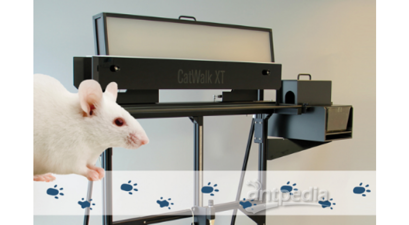 CatWalk XT动物步态分析系统