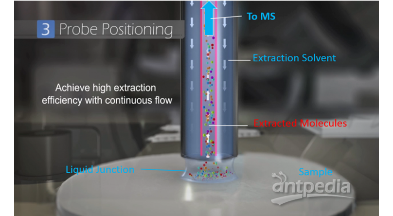 Flowprobe 流动微萃取探针离子源