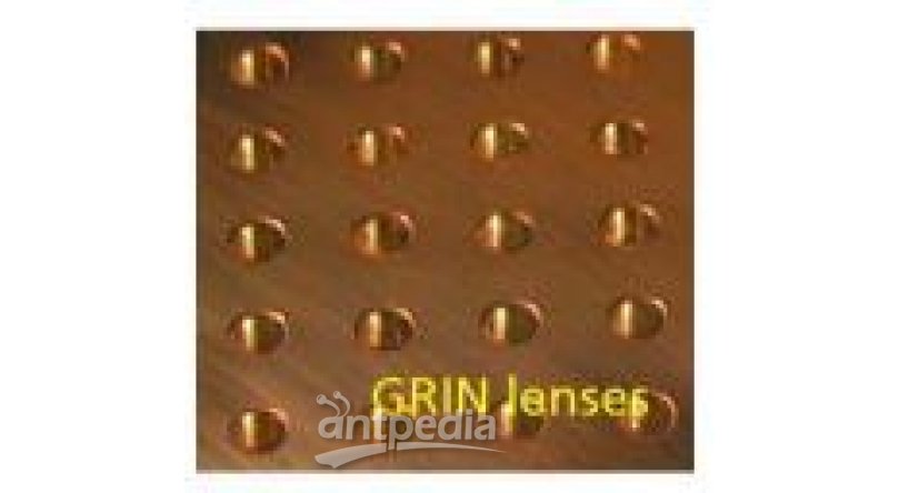 GRINTECH 定制GRIN透镜组件 